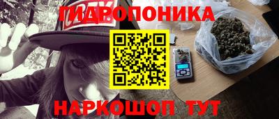 дмт Сланцы