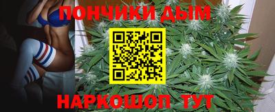 дмт Сланцы