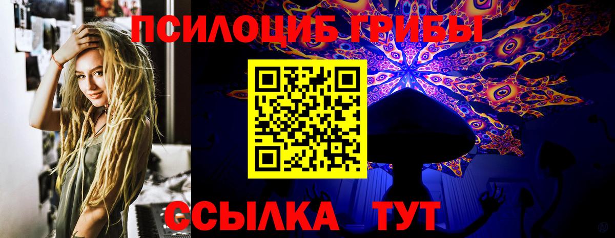 Новошахтинск  Псилоцибиновые грибы GOLDEN TEACHER  Вход с VPN 