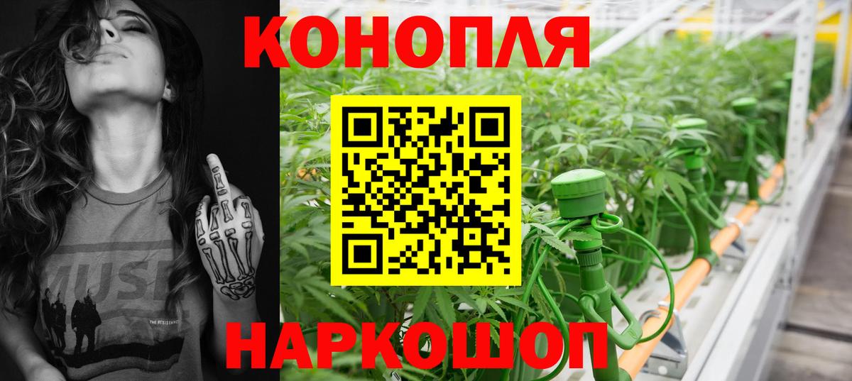 Бошки Шишки конопля Новошахтинск